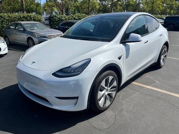 TESLA MODEL Y 2021 5YJYGDEE3MF214109 image